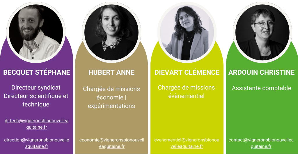 Organigramme Entreprise Professionnel Moderne Simple (1)