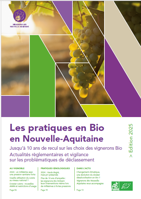 Capture d’écran 2025-12-18 091257