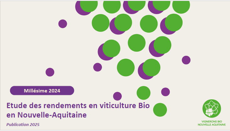 Capture d’écran 2026-03-11 170231